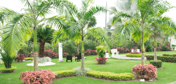 jardin-la-paz-camposanto